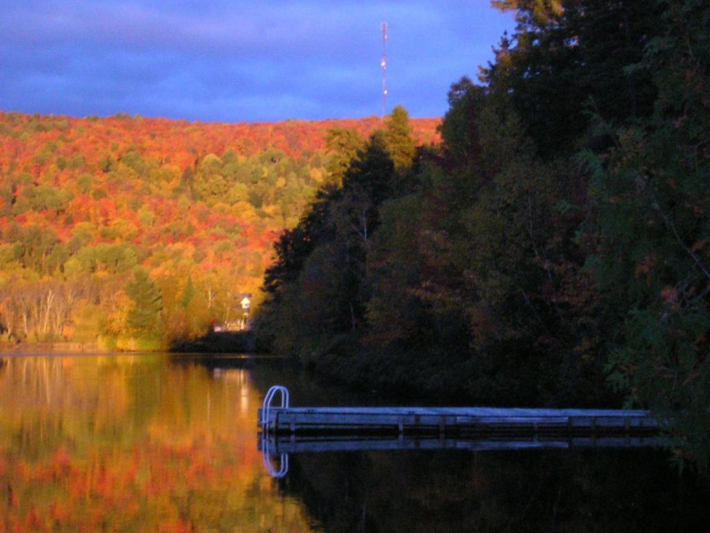 Motel Ours Bleu Lac-Saguay 외부 사진