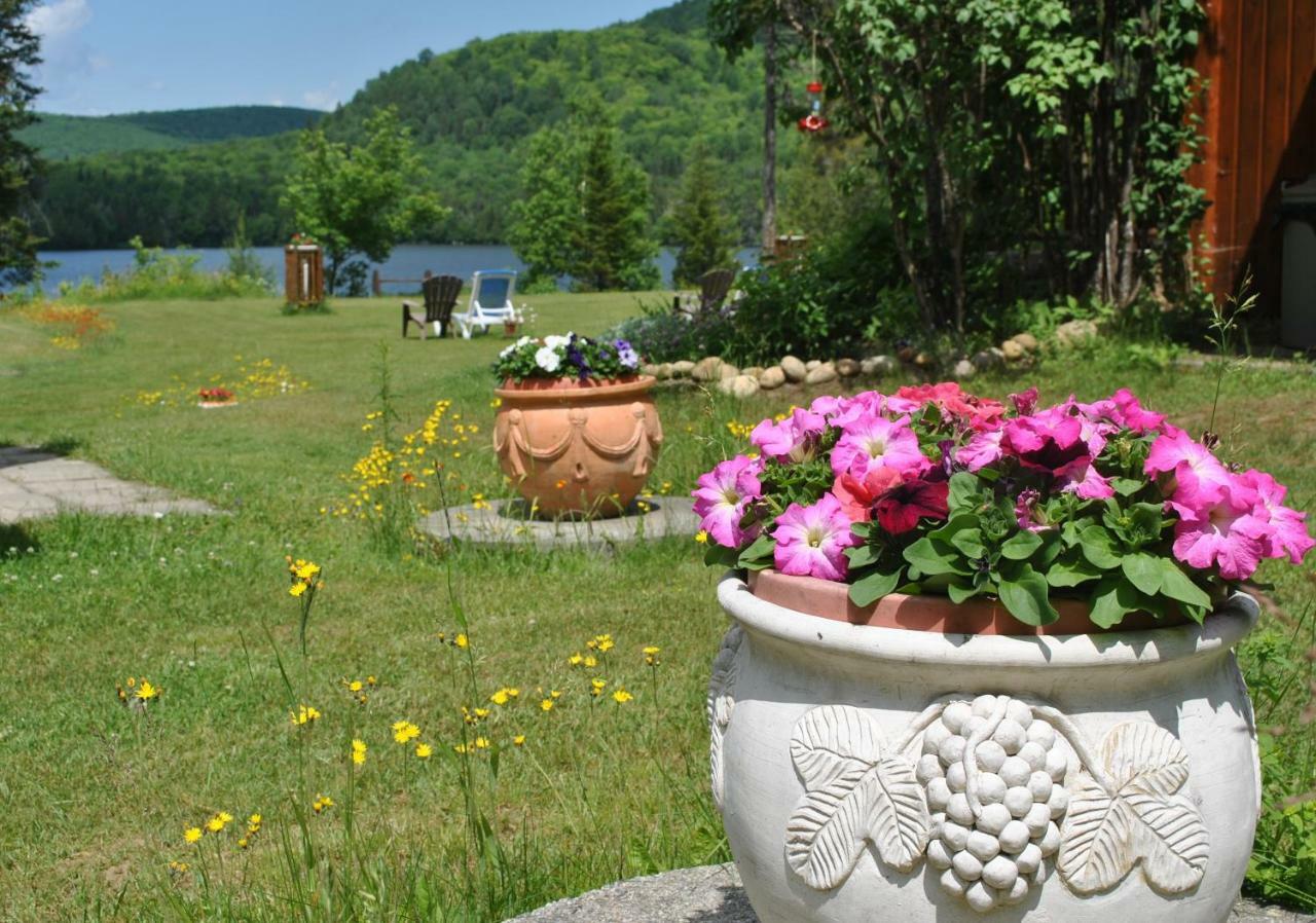 Motel Ours Bleu Lac-Saguay 외부 사진