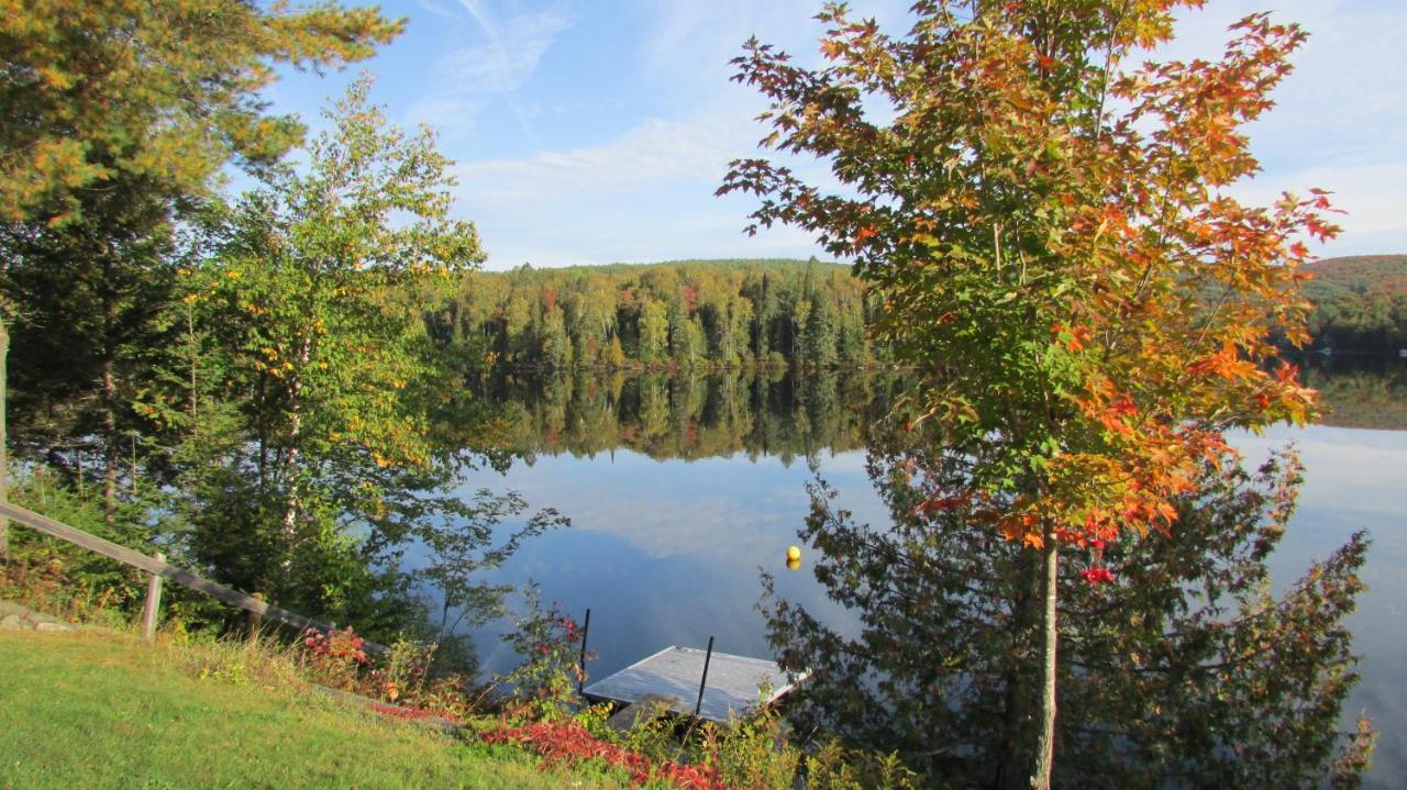 Motel Ours Bleu Lac-Saguay 외부 사진